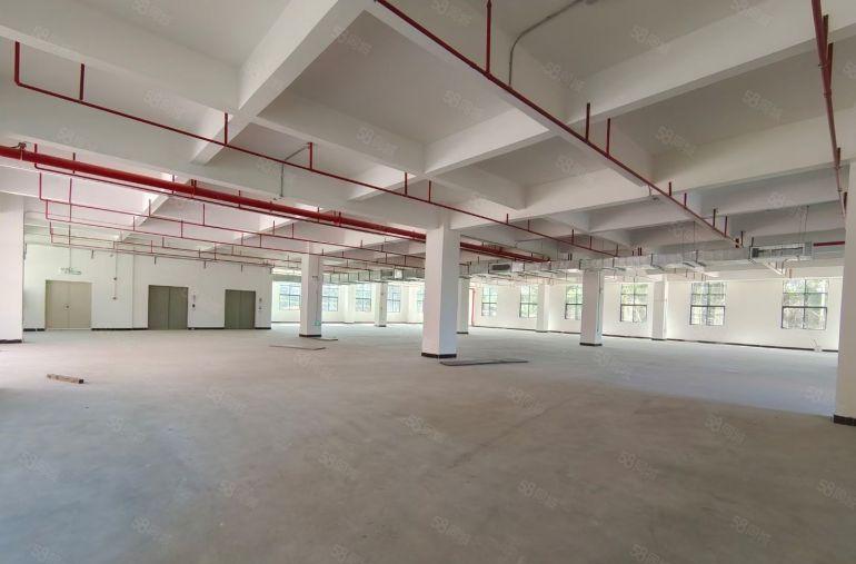 9.9元水口大道500至2500平方全新红本厂房招租可分租