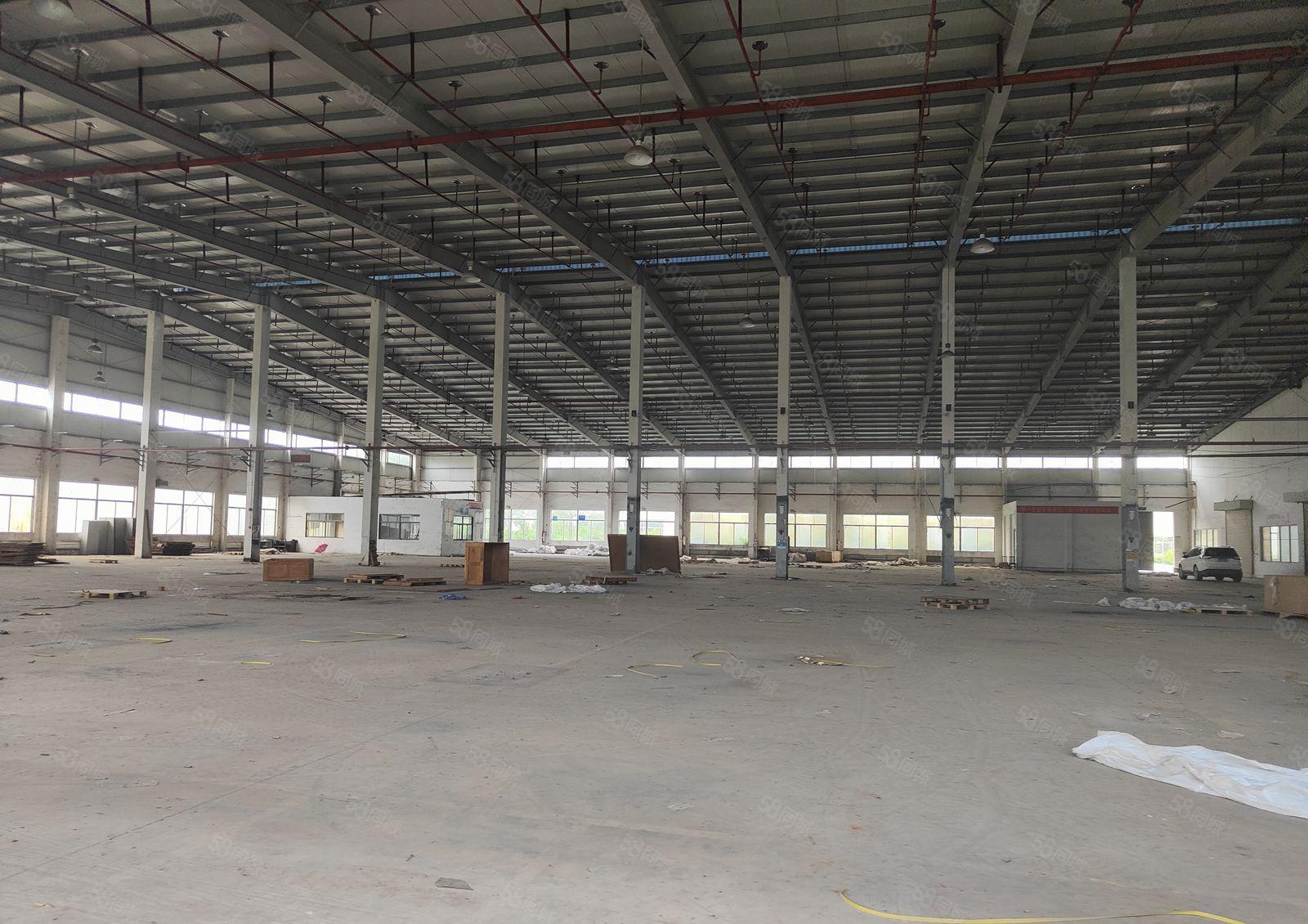 马安新建单层钢构9米滴水12000平米出租 超大空地有证