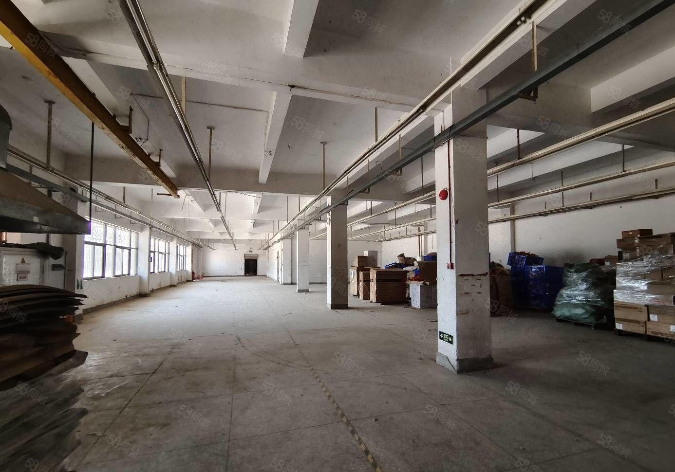 三栋数码园  一楼1000平厂房仓库出租 租金16元