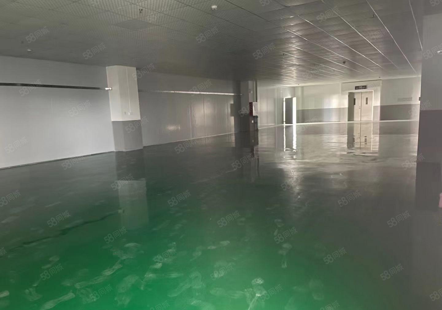 水口工业园楼上2200平精装修厂房出租 租金13