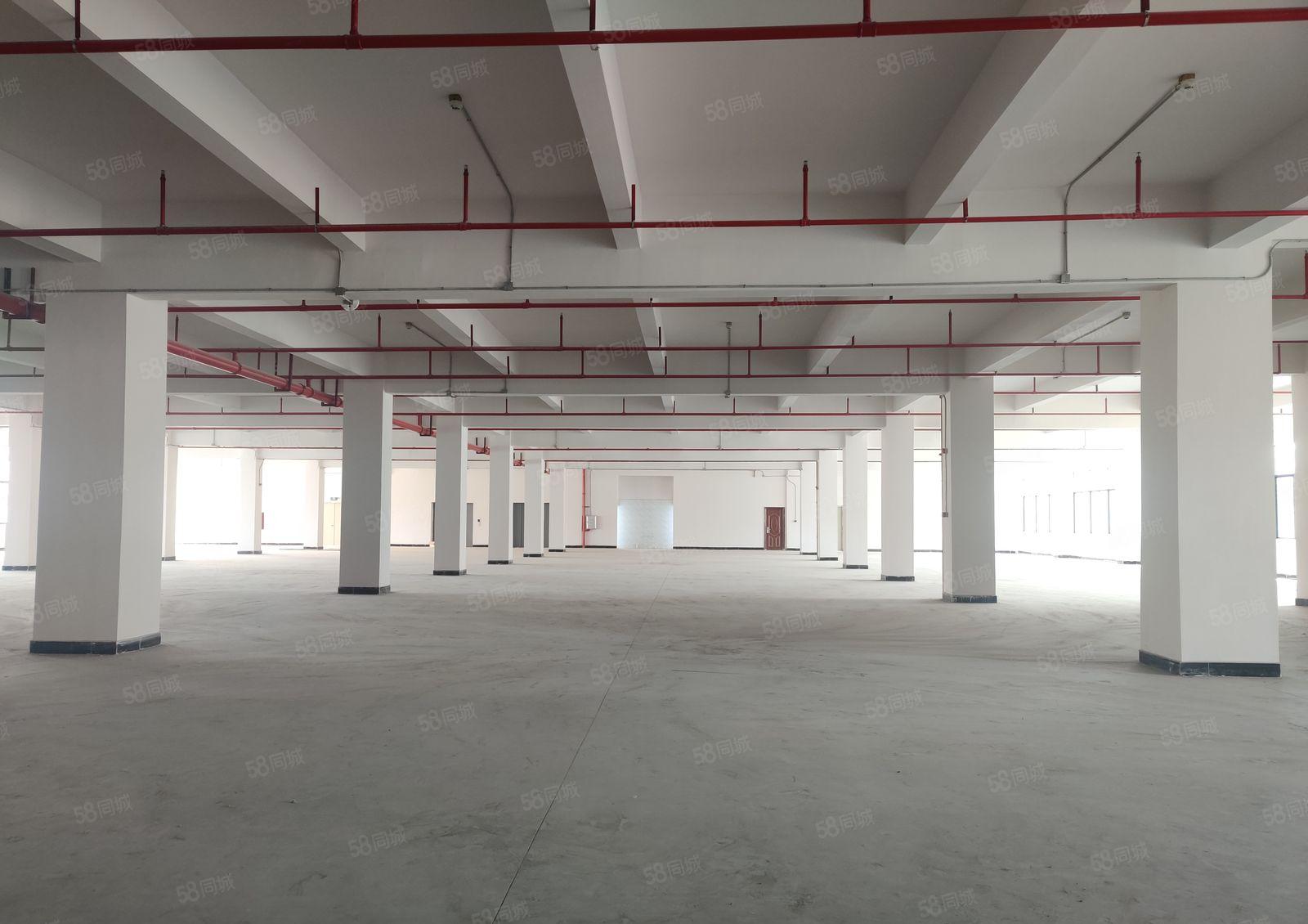 10元起原房东无公摊可分租惠城小金口红本独院厂房仓库一楼出租