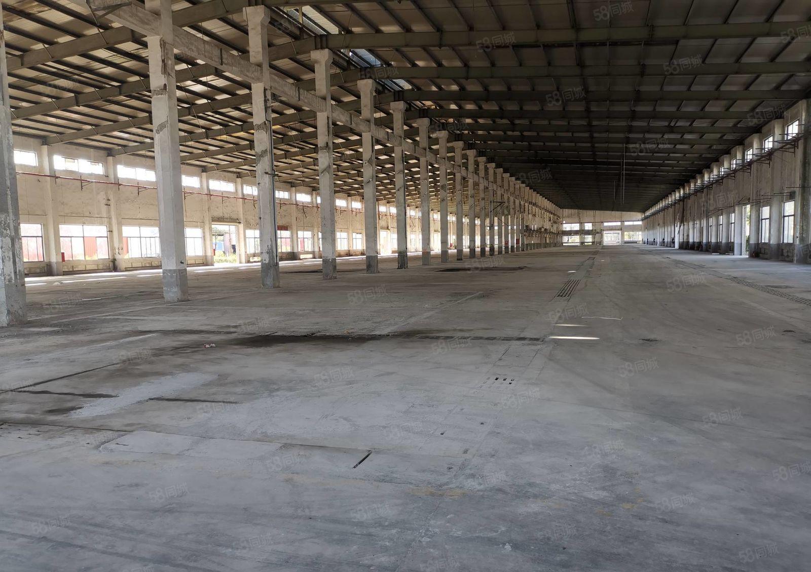 河南岸 钢构厂房出租 高度9米 交通方便 路边