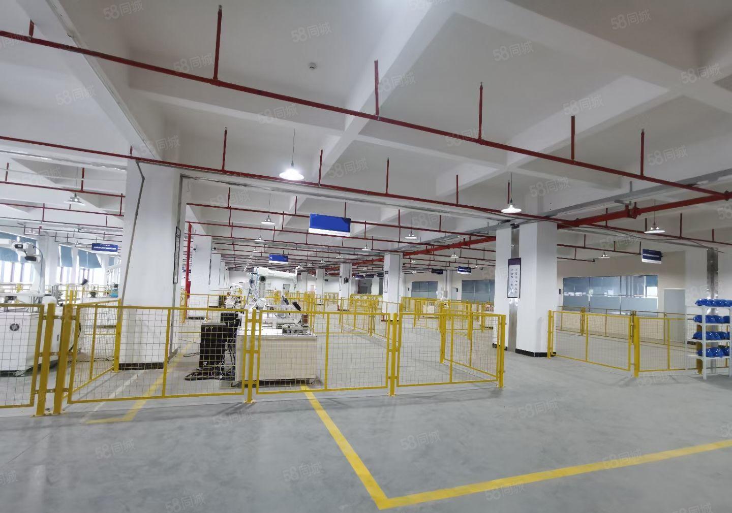 原房东，马安标准厂房4356平米出租，配套全形象靓