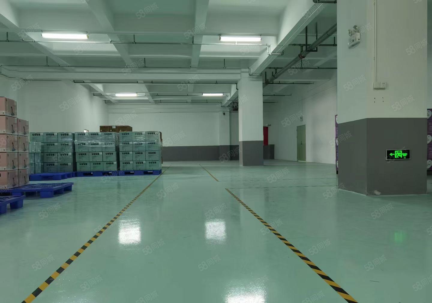 水口十万平米全新产业园内红本厂房招租可分租