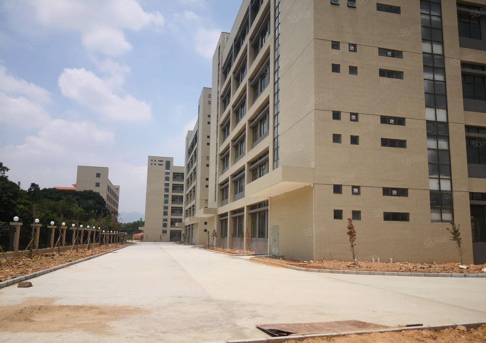 惠城区汝湖附近独院原房东全新厂房12000平方出租