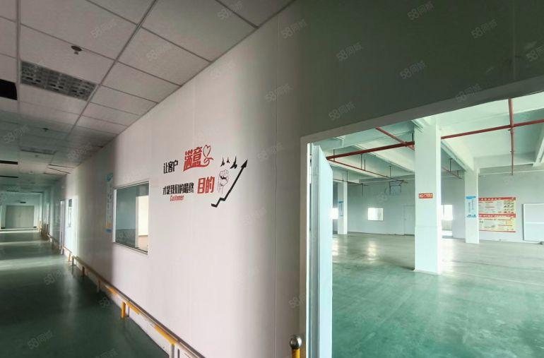 马安新乐楼上680平方带地坪车间办公室出租 租7000