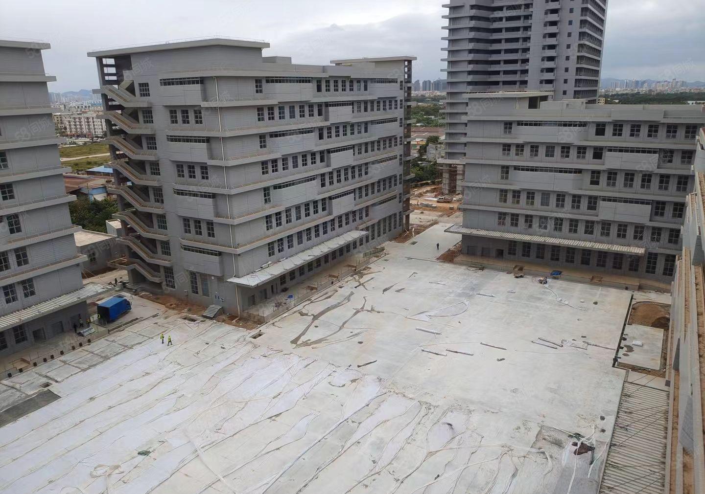 东江工业区全新厂房三十五万平方任意分租