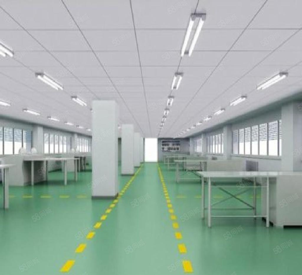 靓惠城独院厂房8000平米出租厂房空地大租金实惠交通便利