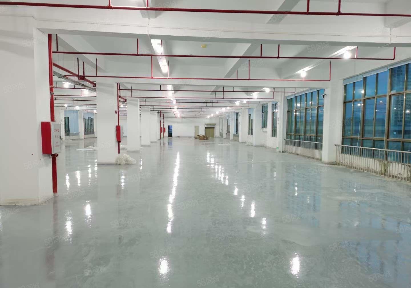 三栋镇工业区1800平带装修办公室  租金13元 可分租