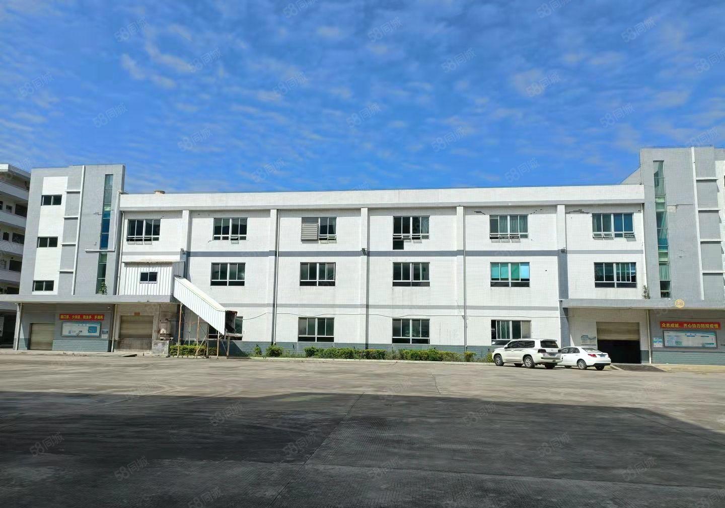 水口龙湖市场旁工业园一楼700平米 层高5.5米 租金16元