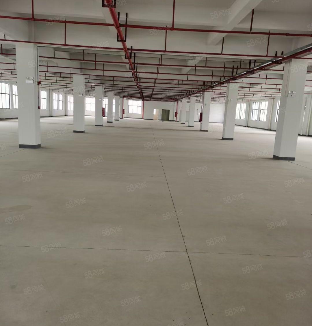 马安全新厂房一二楼5200平 配套齐全 可分租 招工方便