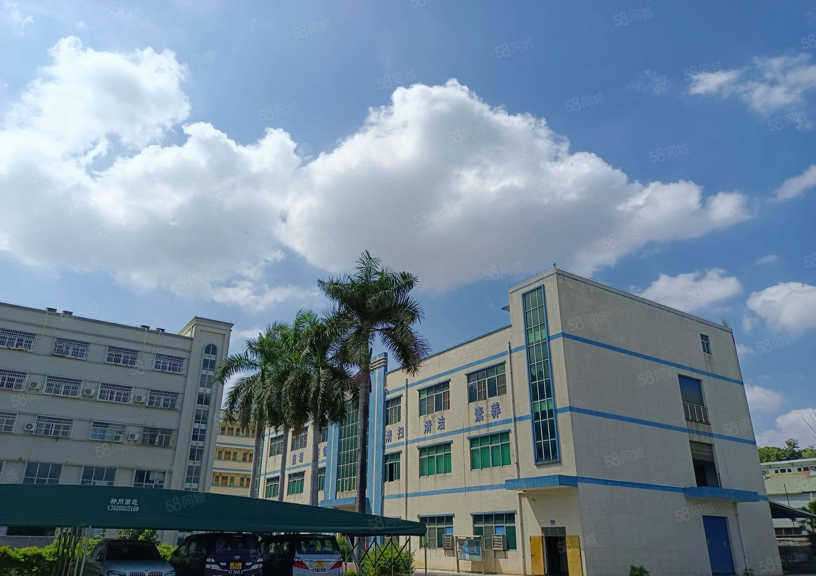 带豪华装修！水口新出楼上1200平方水电齐全！原房东直租！！