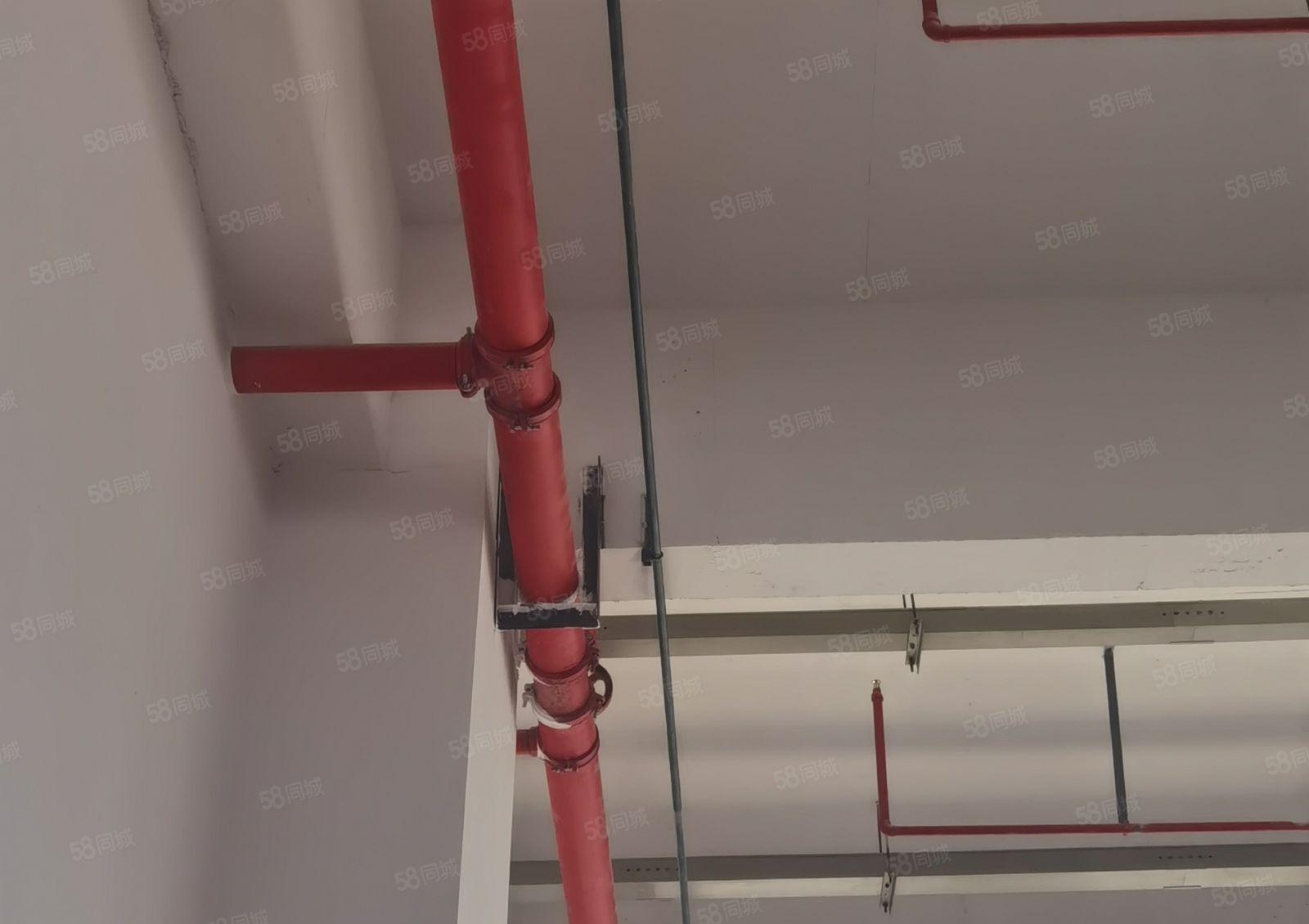 惠州市水口原房东厂房出租，面积3188至3万平方大小可分租