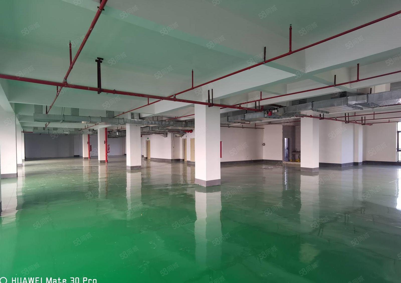 马安新乐工区工业园新空出二楼厂房1400平米 证件齐全