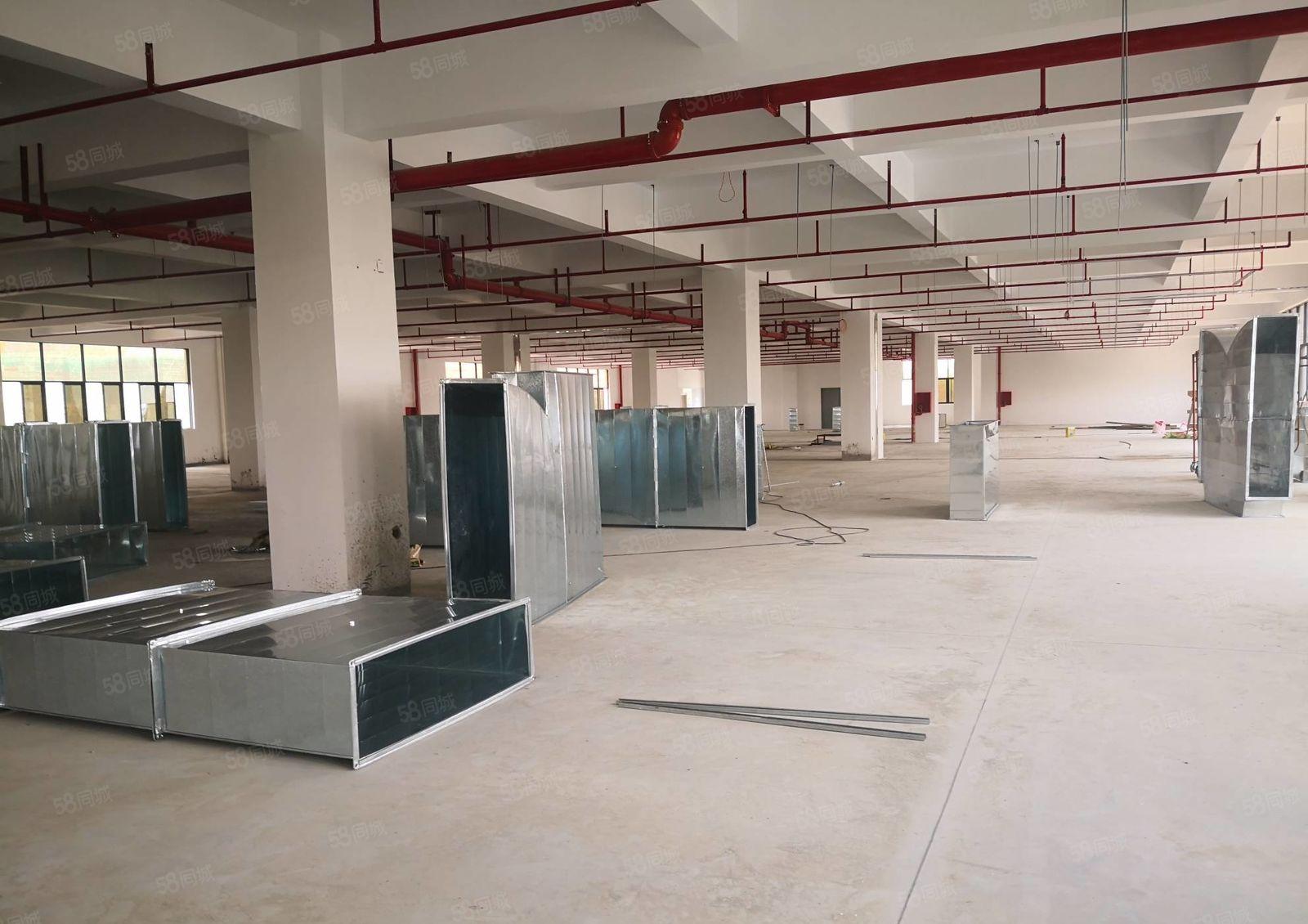 惠城区汝湖附近独院原房东全新厂房12000平方出租