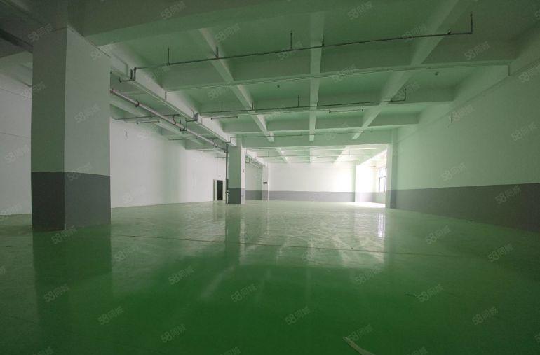 10元全包600平精装修！惠城区水口中心工业区红本厂房空地大