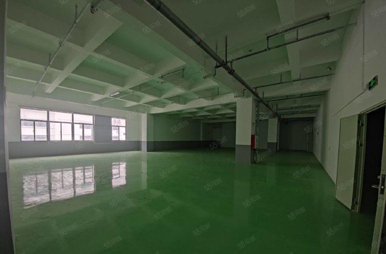 10元全包600平精装修！惠城区水口中心工业区红本厂房空地大