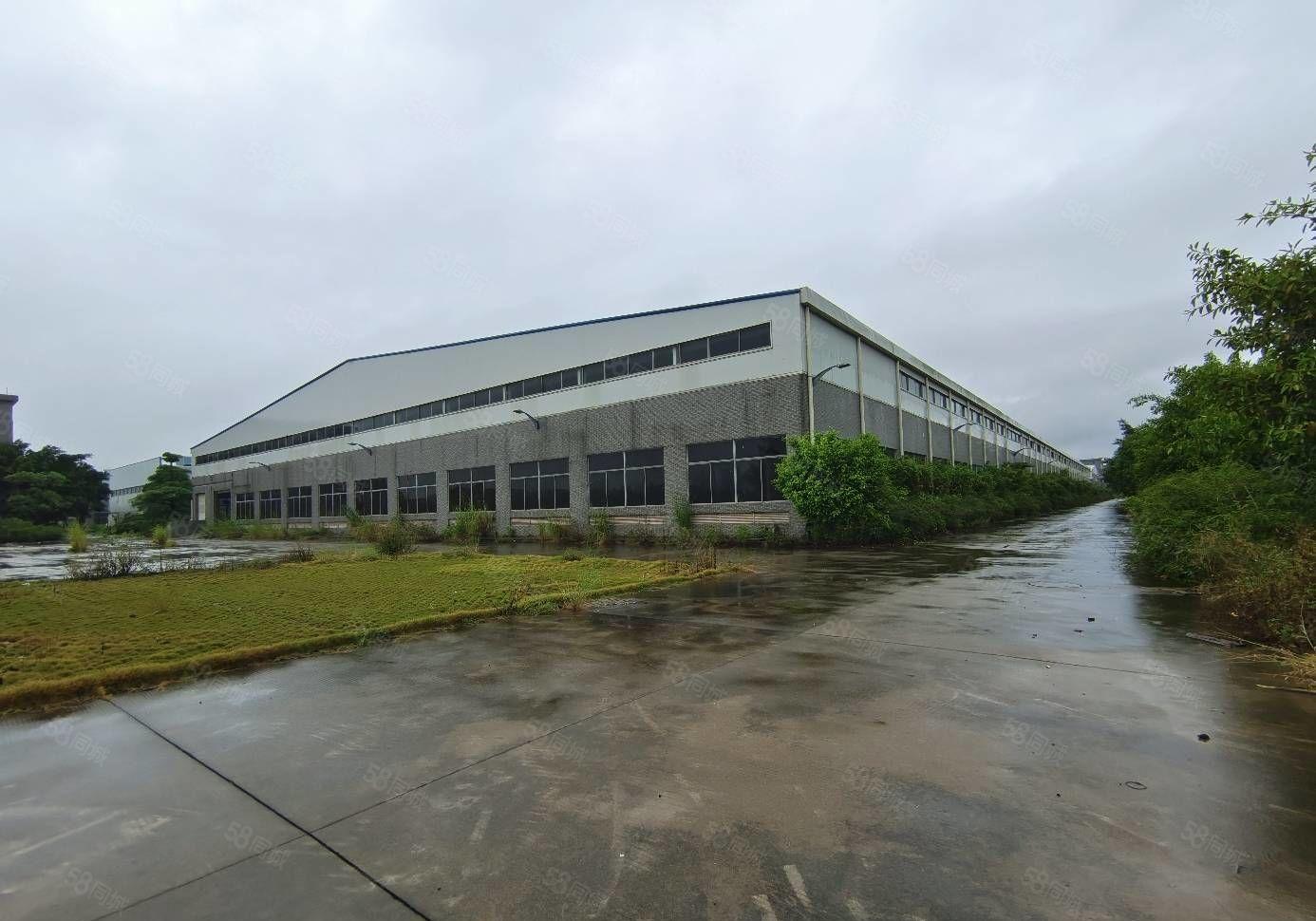 马安镇新湖工业区10米钢构1000平方厂房17元每平出租