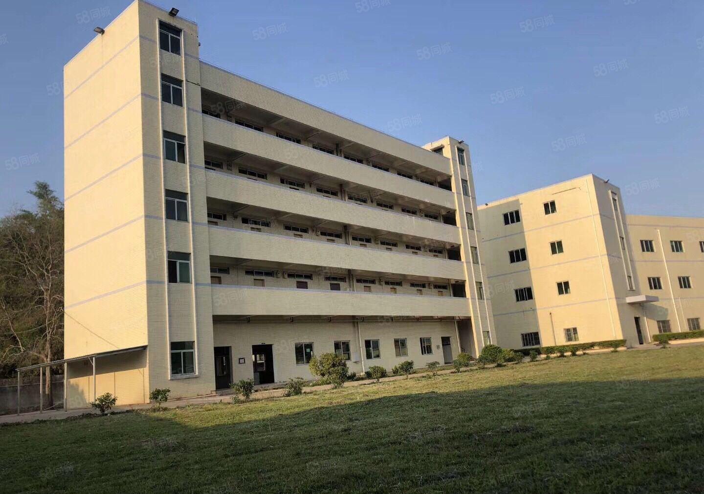 江北 独门独院 标准厂房4800平米出租