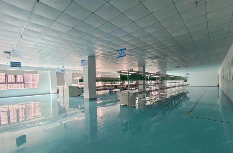 低价惠城三栋数码园南区精装修1500平厂房出租仓库出租可分租