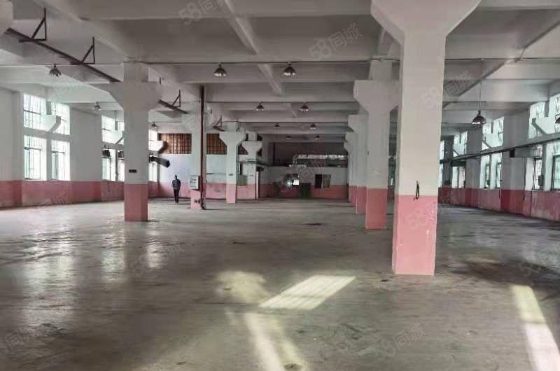 新出一楼约1500平方原房东红本厂房，标准一楼高7米带牛腿