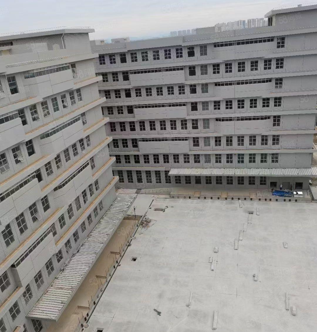 东江工业区全新厂房三十五万平方任意分租