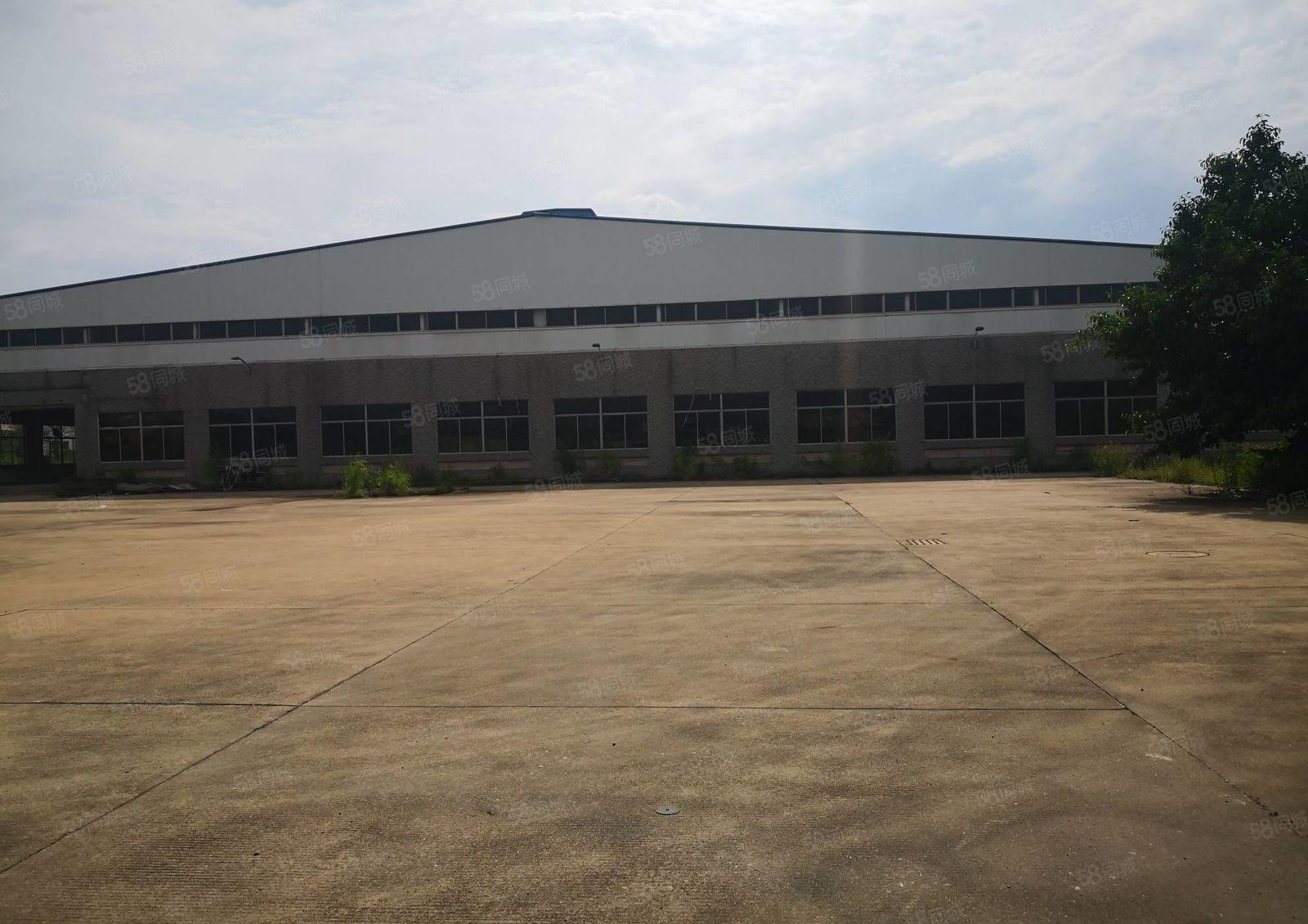 惠城区三栋数码园附近9米高钢构6100平方出租