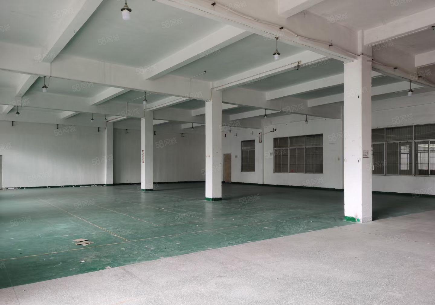 惠城区小金口原房东2楼1300平方无尘车间（无公摊）