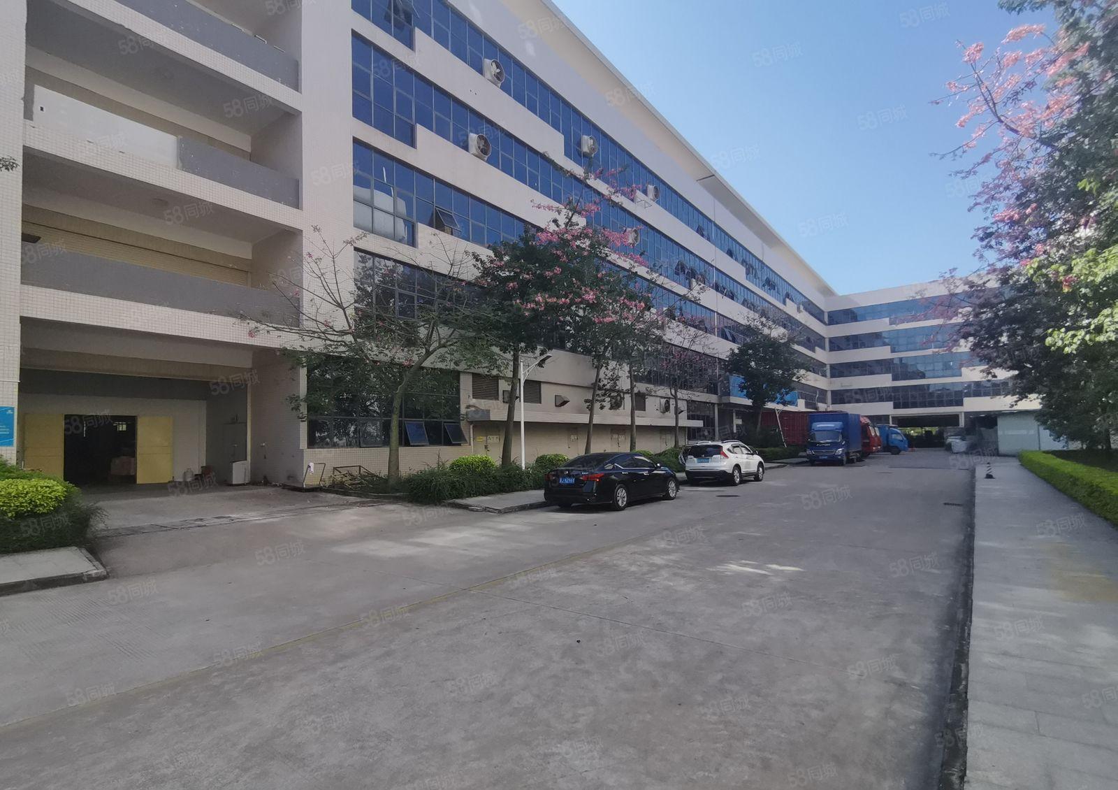 10元起水口智慧科技园5000平厂房出租原房东可办环评可分租