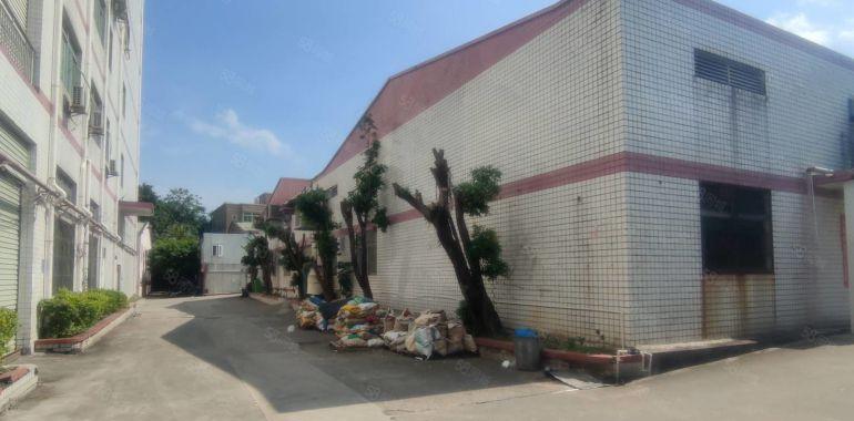 惠城小金口1000平独栋钢构厂房物流仓库出租实际面积主干道边