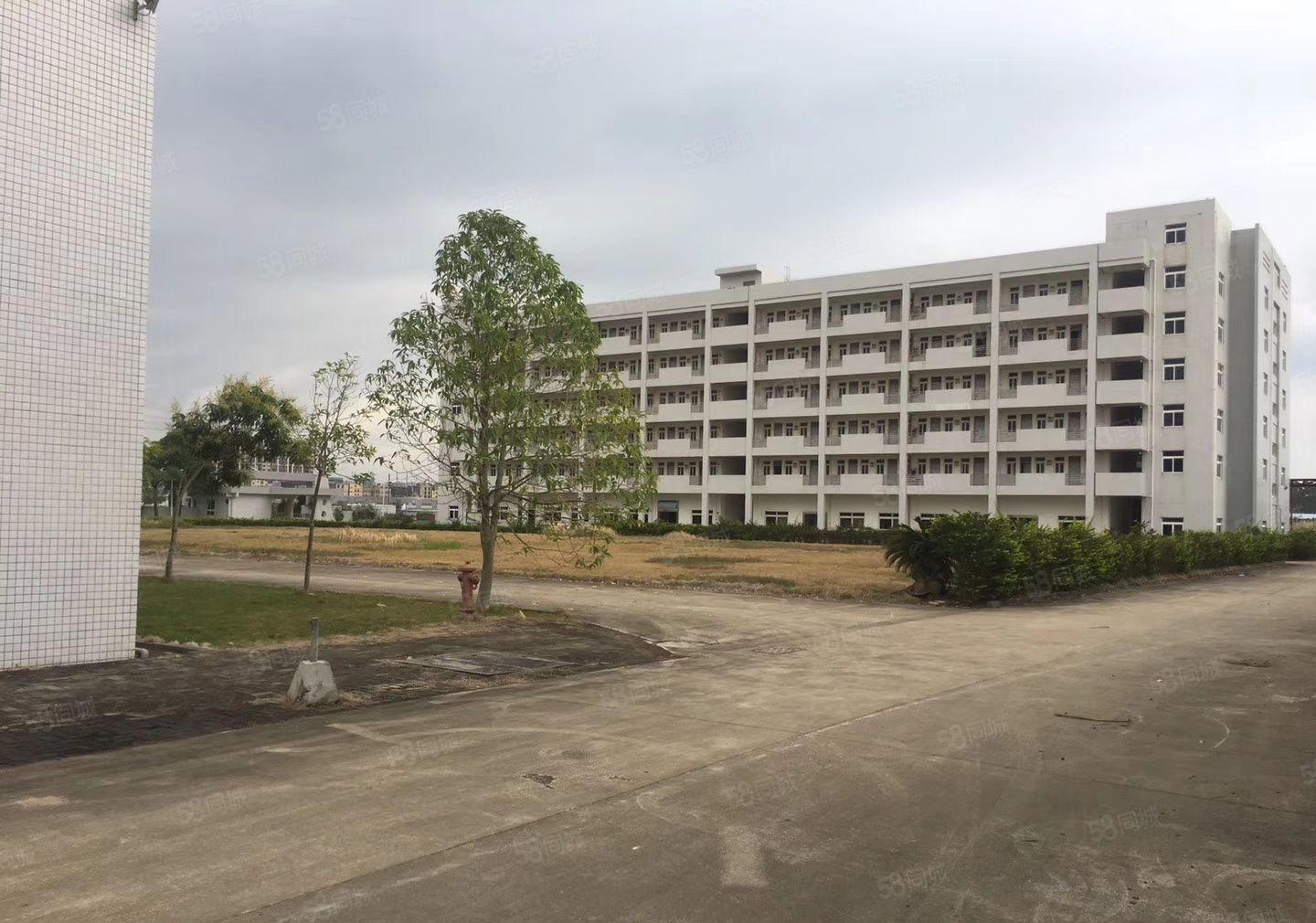 惠博大道附近原房东厂房一楼2650平方厂房出租