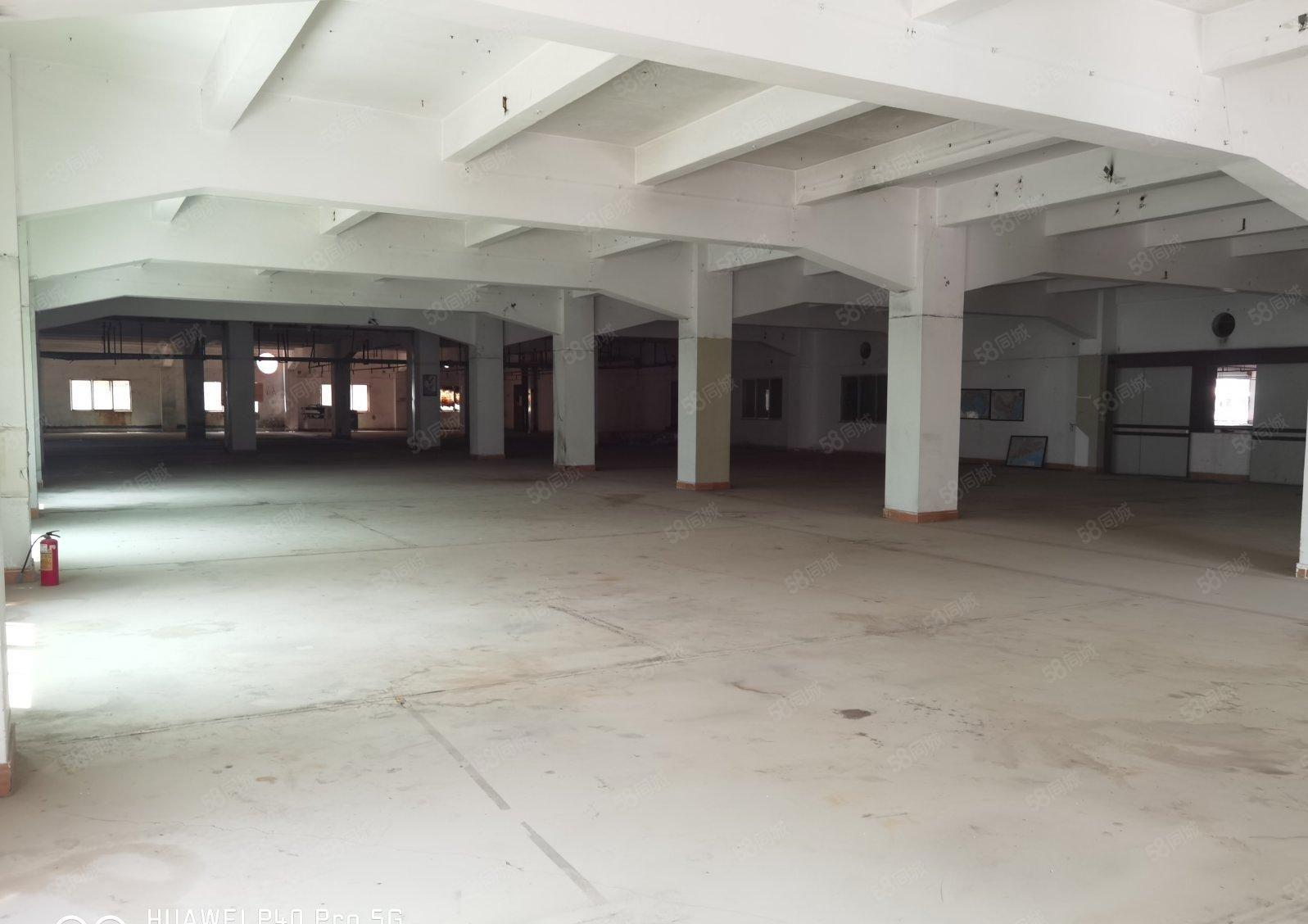 惠城区水口镇原房东红本8000平厂房出租现成证线路板生产线