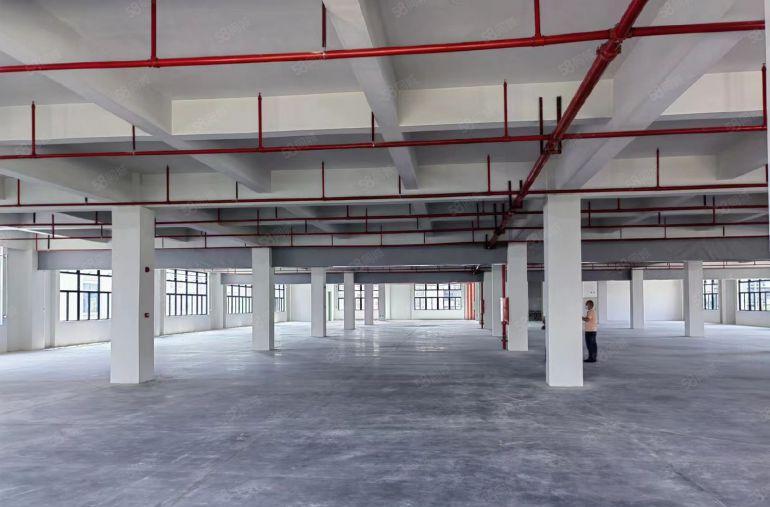 三栋数码园南区原房东全新带牛角标准厂房仓库出租