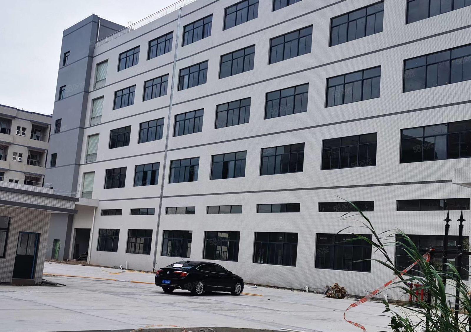 马安镇一楼2600平方二楼2600平方全新红本厂房出租可分租