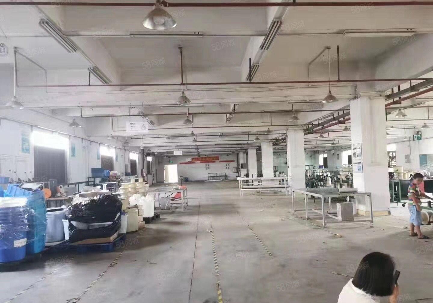 原房东独院厂房，超大空地