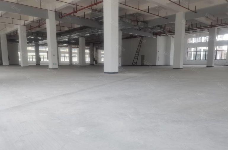 马安独门独院厂房出租