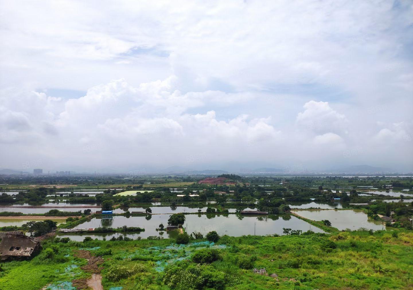 合惠城区水口独门独院钢构厂房出租园区总占地12000平