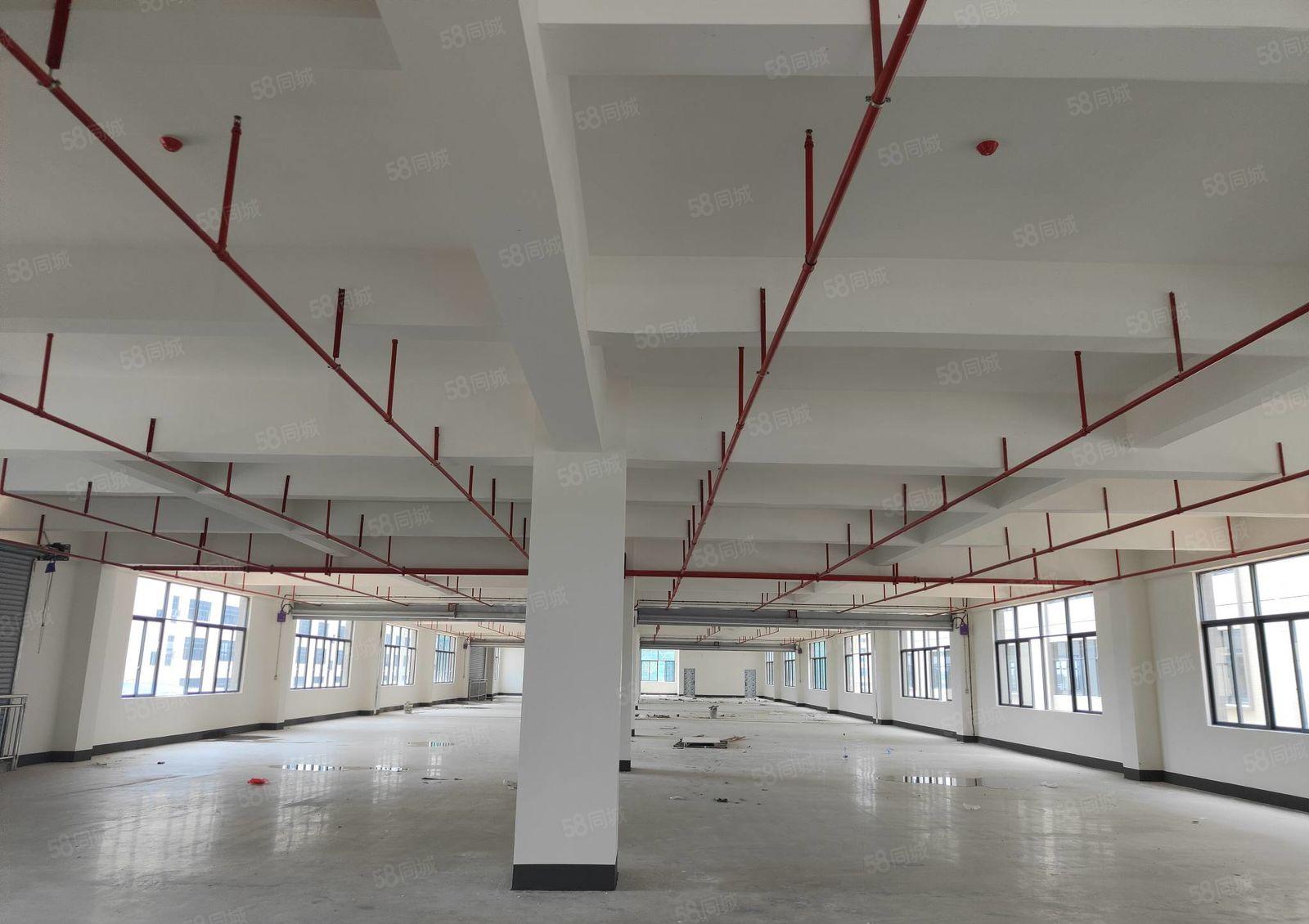 水口与龙湖大道边 标准厂房1楼1350平米出租 部分楼上