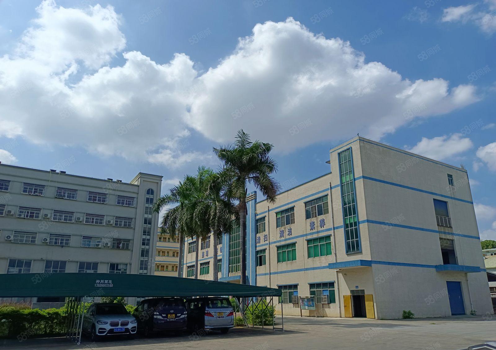 带豪华装修！水口新出楼上1200平方水电齐全！原房东直租！！