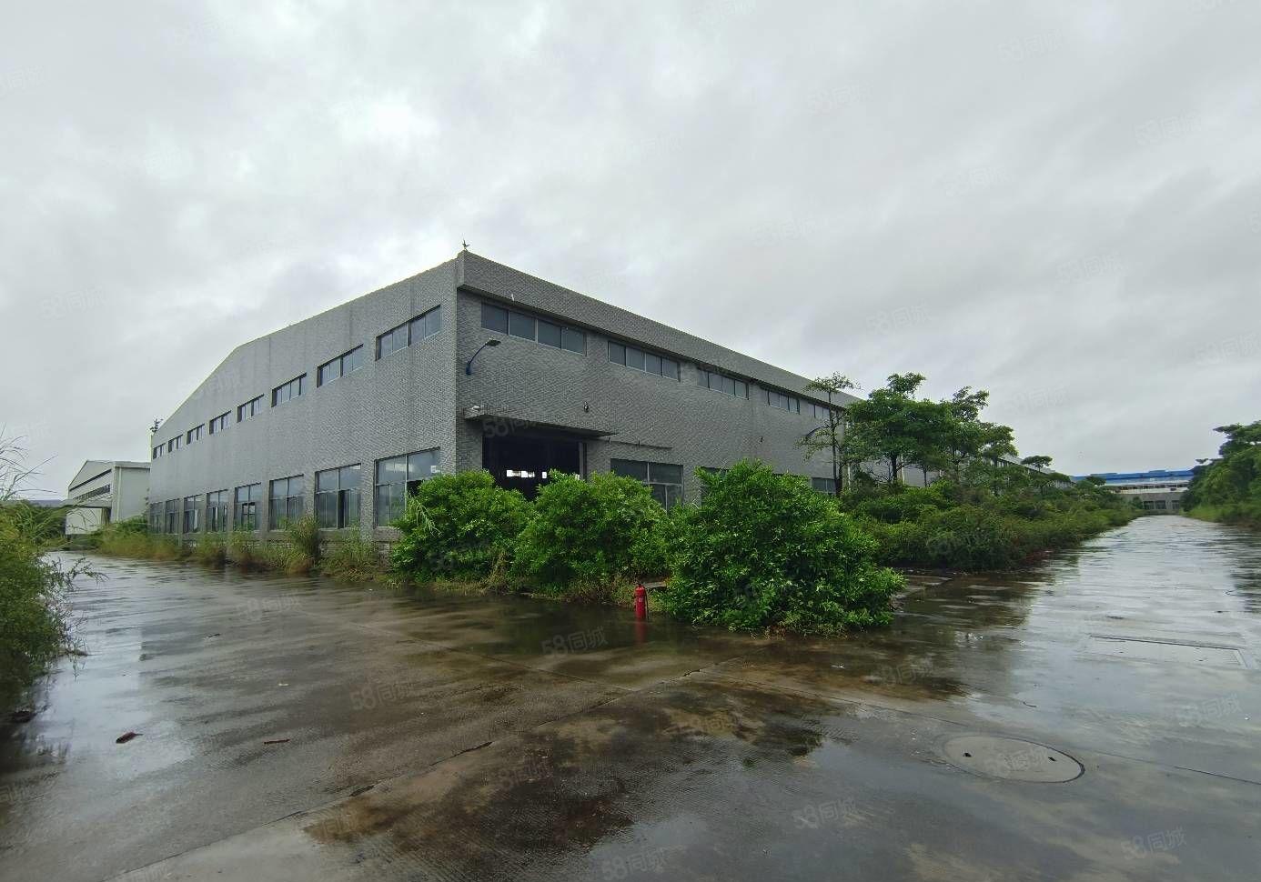 马安镇新湖工业区10米钢构1000平方厂房17元每平出租