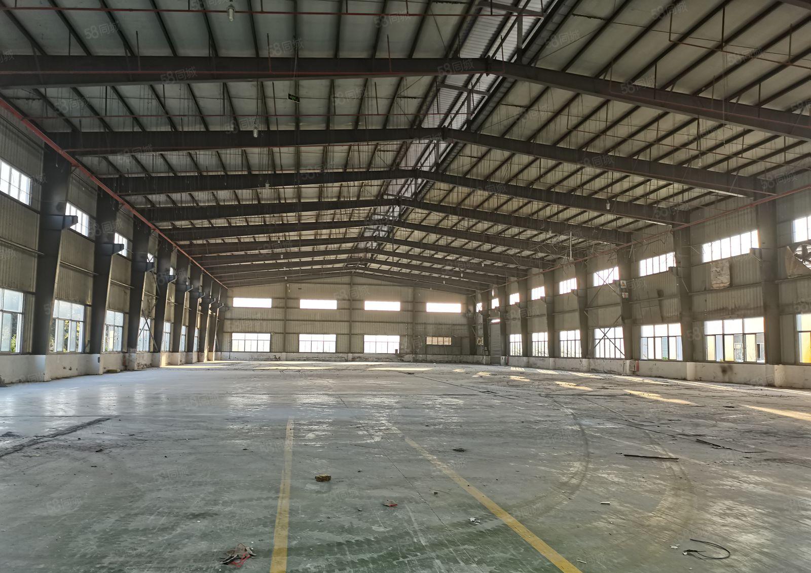 滴水10米高惠城三栋原房东独院钢构厂房22000平出租可分租