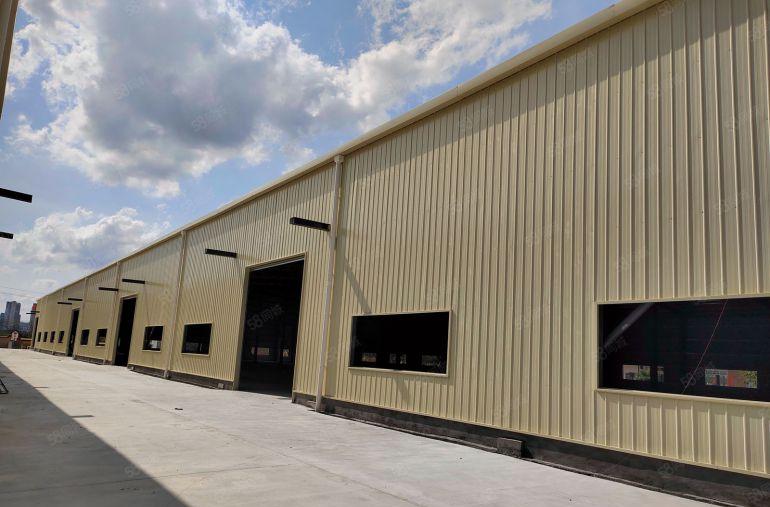 惠城区马安镇   6000平米全新钢结构厂房出租，高度8米~