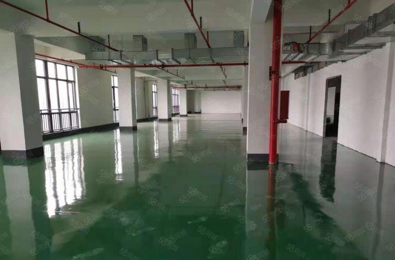 马安镇低价厂房出租原房东直租带地坪漆无需装修直接入驻配大货梯