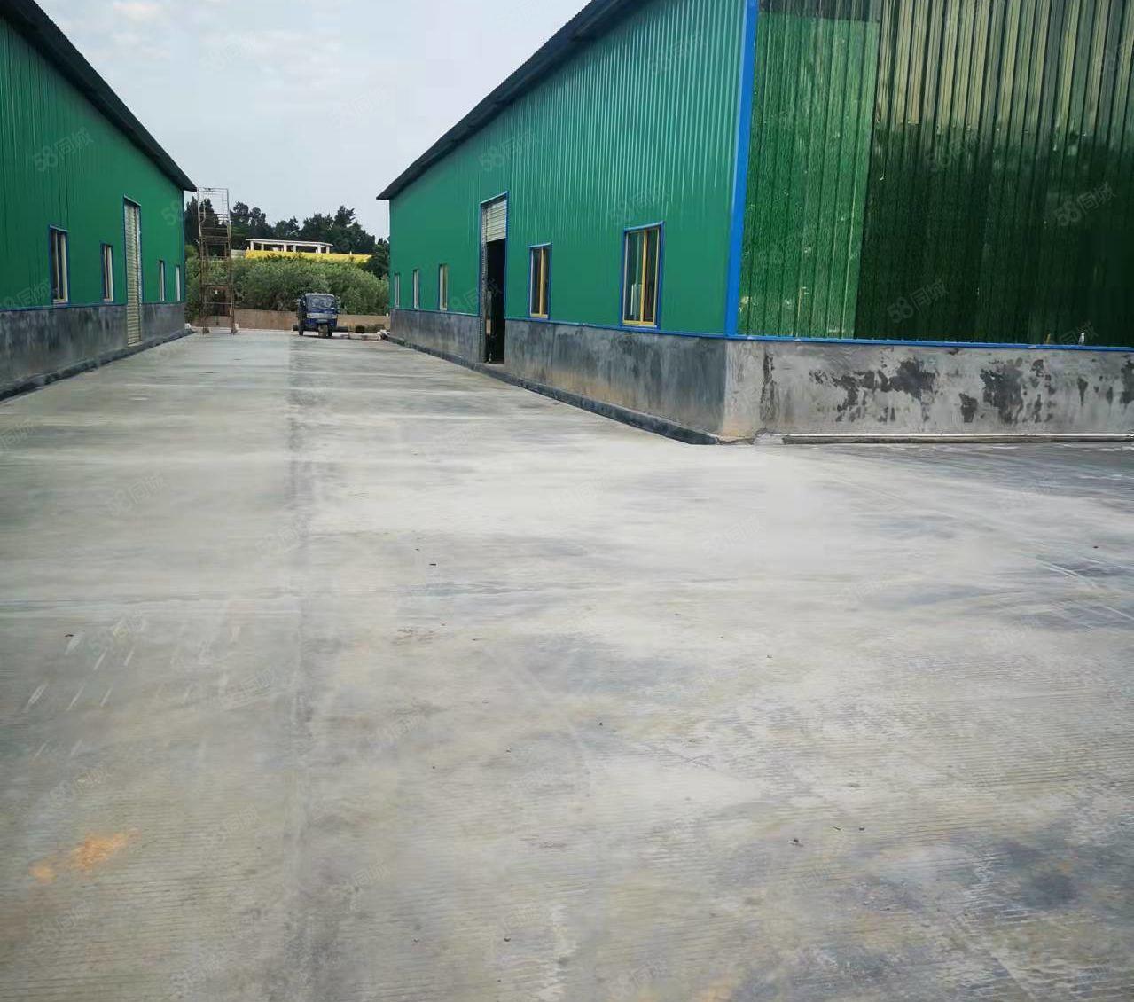 平潭全新钢构厂房2550平米招租