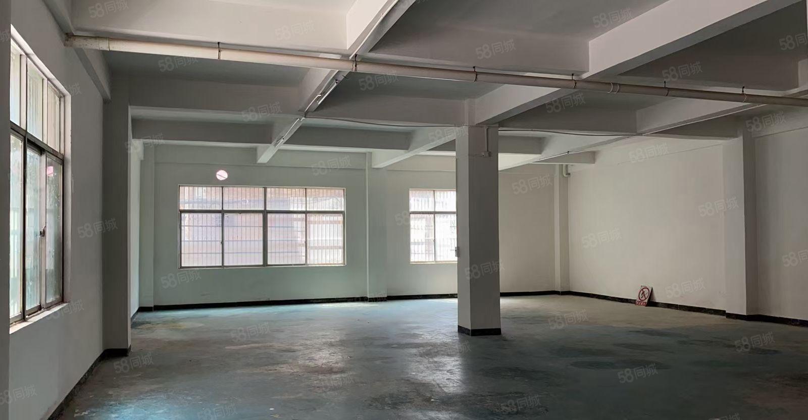 惠城区小金口原房东2楼1300平方无尘车间（无公摊）