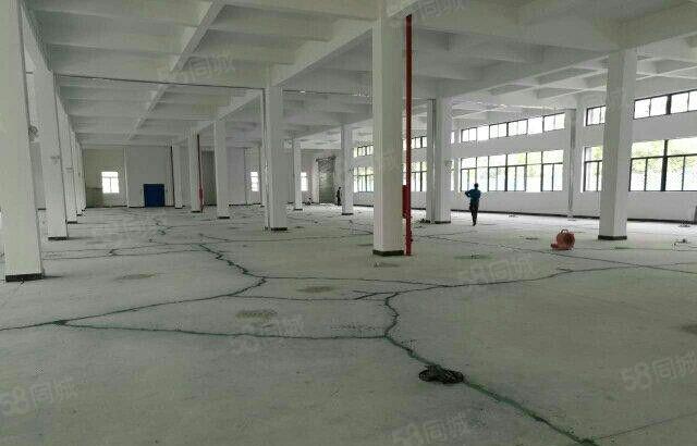 新盘招租，马安新乐厂房正式启用，形象好，位置佳，空地超大