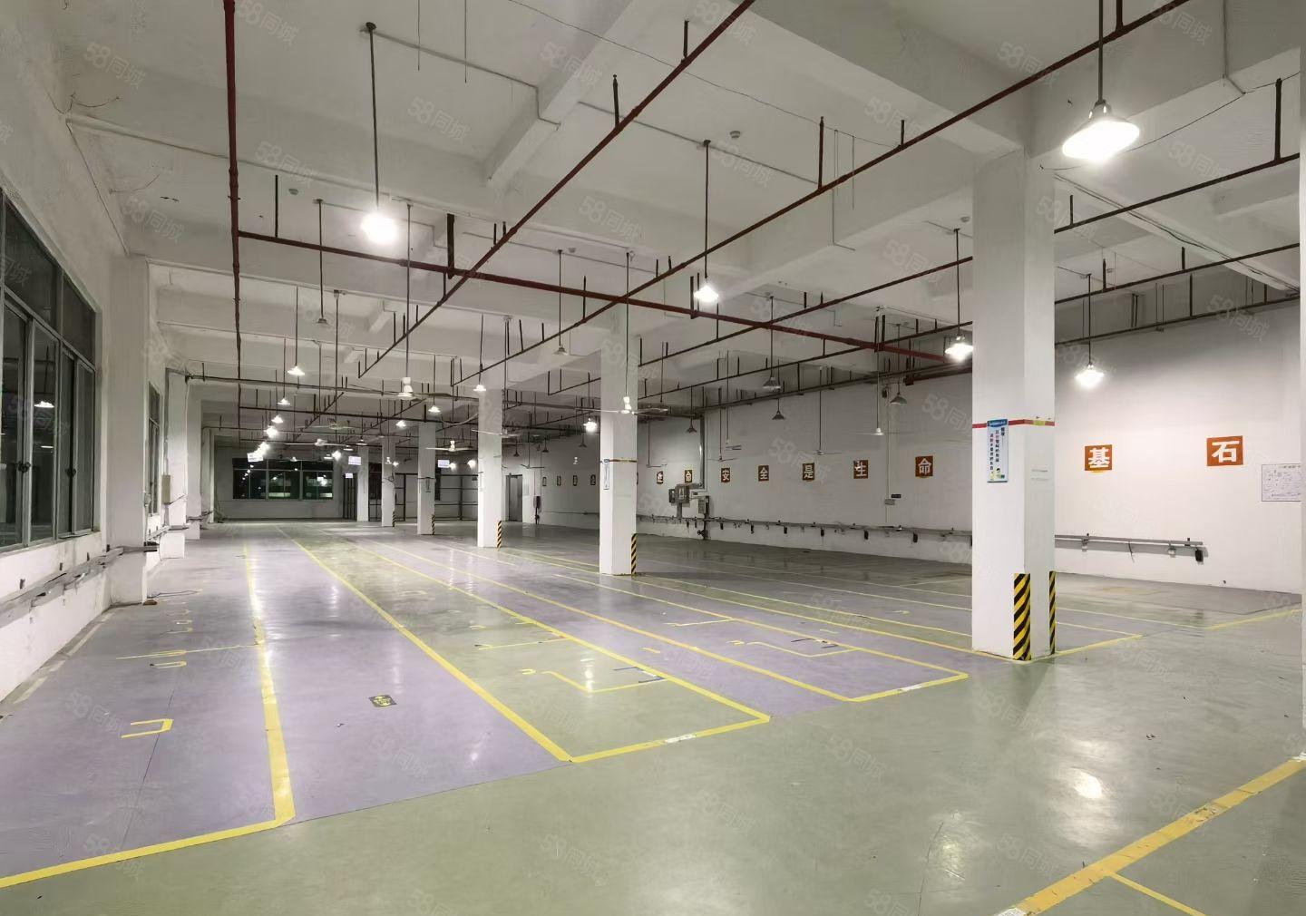 三栋镇数码园现成装修1600平方标准厂房出租