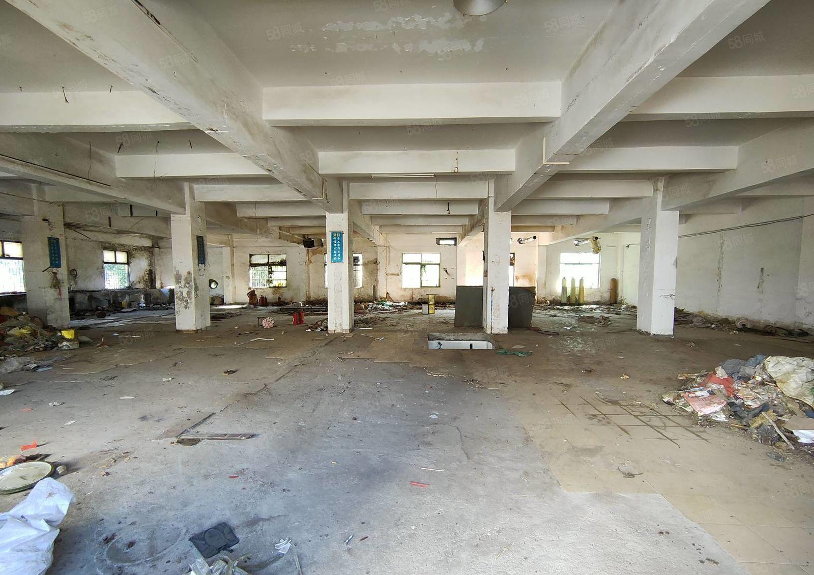 大湖溪原房东实际面积一楼600平方标准厂房出租