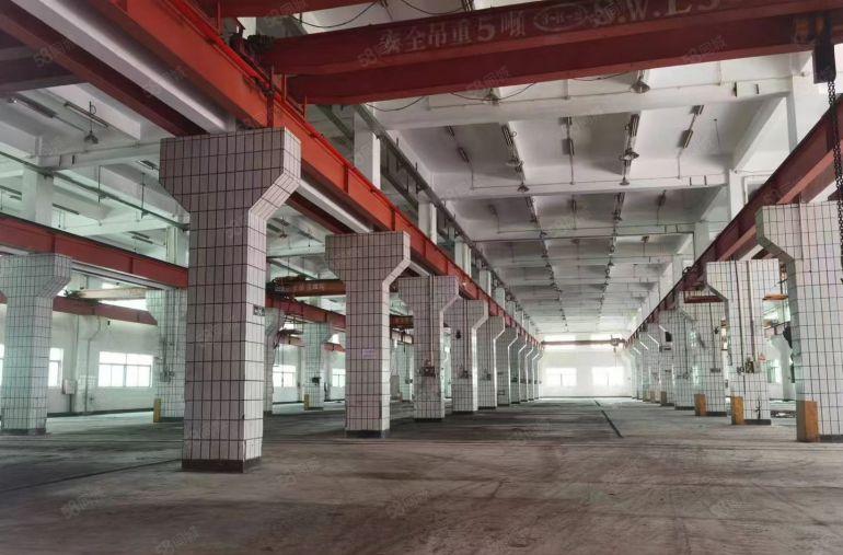 惠城区三栋惠南大道边单一层9米高钢构5300平方出租