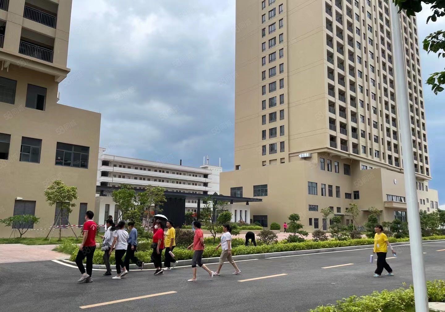 水口标准厂房价格便宜9元起租